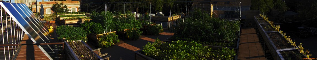 rooftoppanorama 3